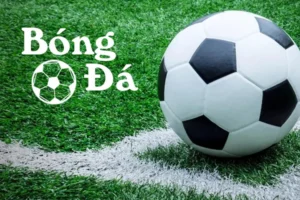 Tìm Hiểu Luật Bóng Trong Cuộc Và Bóng Ngoài Cuộc Trong Bóng Đá