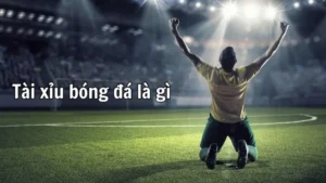 Phân Tích Kèo Tài Xỉu Bóng Đá Tại 7M Và Chiến Thuật Soi Kèo Hiệu Quả