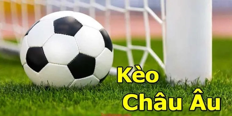 Kèo Châu Âu Tại 7M Cách Đọc Tỷ Lệ Và Kinh Nghiệm Soi Chuẩn Xác Năm 2026