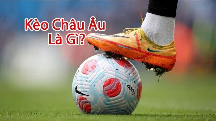 Kèo Châu Âu Tại 7M Cách Đọc Tỷ Lệ Và Kinh Nghiệm Soi Chuẩn Xác Năm 2026