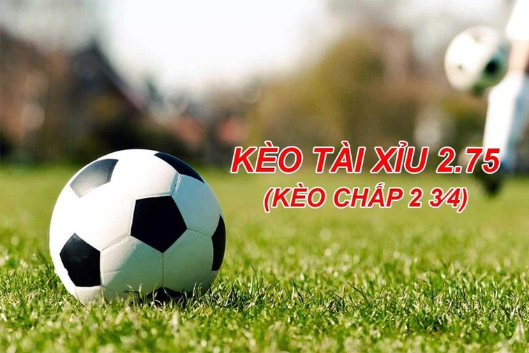 Giải Nghĩa Kèo 2.75 Tại 7M Và Cách Chơi Hiệu Quả Cho Người Mới